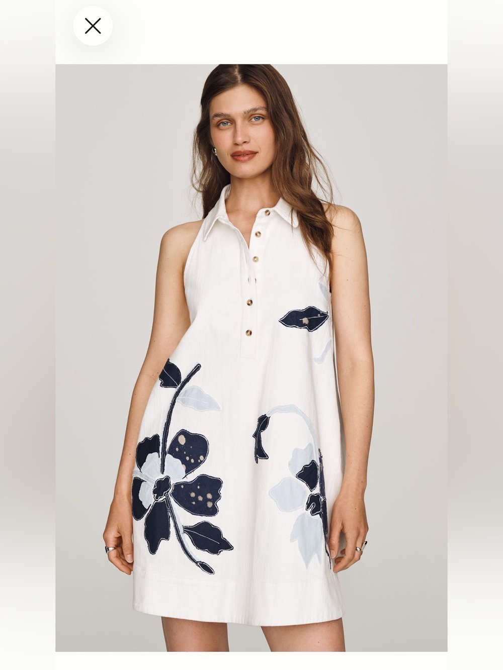 Maeve denim appliqué swing dress